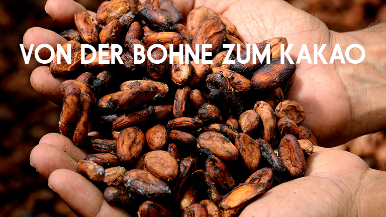 Von der Kakaobohne zur Schokolade: Ein Weg geprägt von Herausforderungen und Hoffnung